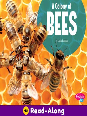 cover image of A Colony of Bees